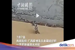 Bencana Topan di China: Ratusan Ular Lepas dari Penangkaran, Warga Diminta Waspada