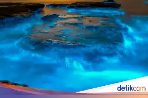 Mengungkap Misteri 'Milky Seas', Fenomena Laut Bercahaya Raksasa yang Terpantau Satelit NASA