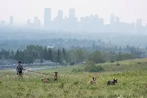 Kualitas Udara Memburuk, Otoritas Calgary Terbitkan Peringatan Kesehatan Akibat Asap Kebakaran Hutan