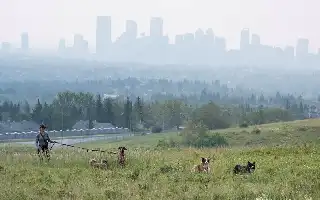 Kualitas Udara Memburuk, Otoritas Calgary Terbitkan Peringatan Kesehatan Akibat Asap Kebakaran Hutan