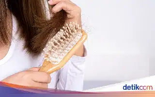 6 Makanan Kunci untuk Melawan Rambut Rontok: Lebih dari Sekadar Shampoo