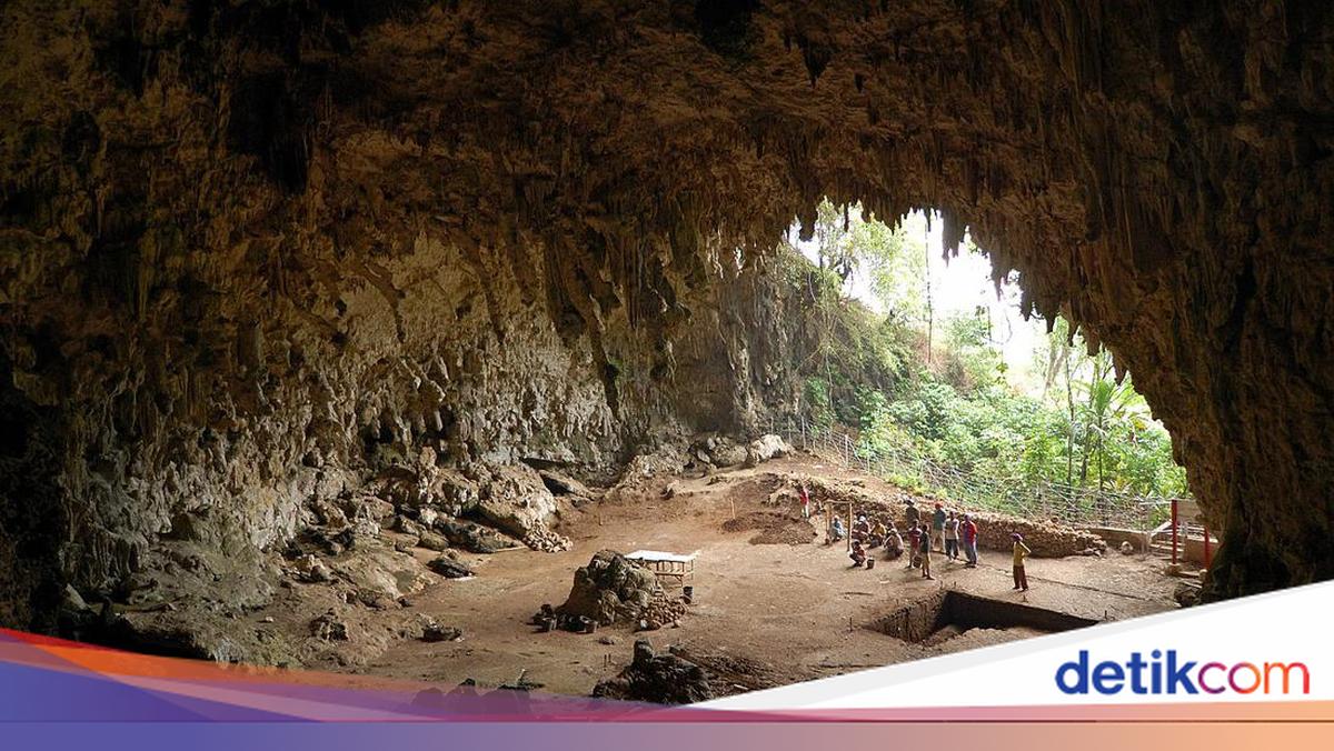 Studi Baru Ungkap Perilaku Makan 'Manusia Hobbit' Flores: Pemulung, Bukan Pemburu