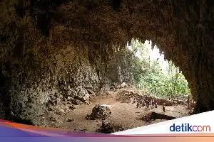 Studi Baru Ungkap Perilaku Makan 'Manusia Hobbit' Flores: Pemulung, Bukan Pemburu
