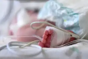 Ancaman Anemia pada Balita Indonesia: Pentingnya Nutrisi 1.000 Hari Pertama dan Deteksi Dini