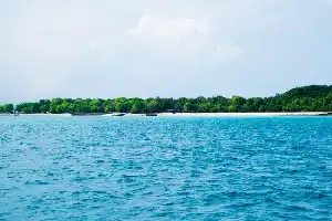 Aktivitas Vulkanik Bawah Laut di Laut Bismarck Berpotensi Membentuk Pulau Baru