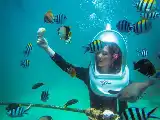 Menjelajah Adrenalin Bahari Bali: Panduan Rute, Biaya, dan Pilihan Water Sport Populer dari Terminal Ubung