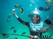 Menjelajah Adrenalin Bahari Bali: Panduan Rute, Biaya, dan Pilihan Water Sport Populer dari Terminal Ubung