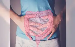 Mengapa Makanan Tinggi Lemak Memicu Kanker Usus? Studi Terbaru Ungkap Mekanisme Biologisnya