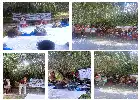 Inovasi Teknologi Polen ITP2I Hadir untuk Tingkatkan Produktivitas Sawit Petani Swadaya Pelalawan