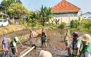 Genjot Ketahanan Pangan, Kelompok Tani di Pandaan Terapkan Teknologi PMAAS untuk Percepatan Tanam