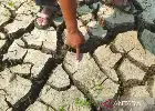 Ancaman Krisis Pangan di Balik Retakan Tanah: Mengapa Lahan Pertanian Kita Lebih Cepat Mengering?