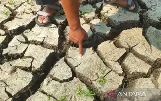 Ancaman Krisis Pangan di Balik Retakan Tanah: Mengapa Lahan Pertanian Kita Lebih Cepat Mengering?