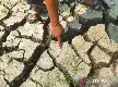 Ancaman Krisis Pangan di Balik Retakan Tanah: Mengapa Lahan Pertanian Kita Lebih Cepat Mengering?