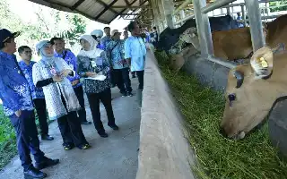 Bupati HSS Minta Petani Tingkatkan Kompetensi dan Adaptasi Teknologi Pertanian