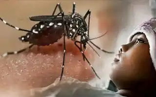 Sri Lanka Perketat Aturan Berpakaian bagi Anak Prasekolah guna Tekan Angka DBD