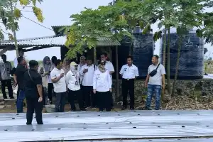 Modernisasi Pertanian, Lampung Timur Terapkan Smart Farming untuk Genjot Produksi Cabai