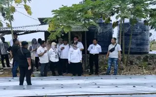 Modernisasi Pertanian, Lampung Timur Terapkan Smart Farming untuk Genjot Produksi Cabai