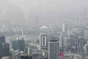 Waspadai Gejala Alergi, Pakar Medis Ingatkan Bahaya Diagnosa Mandiri