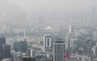 Waspadai Gejala Alergi, Pakar Medis Ingatkan Bahaya Diagnosa Mandiri