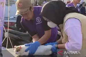 DPKHP Cianjur Perluas Akses Layanan Kesehatan Hewan Gratis Jelang Hari Jadi ke-349