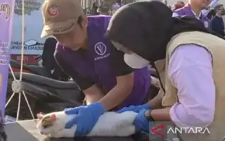 DPKHP Cianjur Perluas Akses Layanan Kesehatan Hewan Gratis Jelang Hari Jadi ke-349