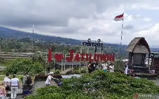 Upaya DTW Jatiluwih Kembangkan Wisata Tani dan Olahraga demi Dongkrak Ekonomi Warga