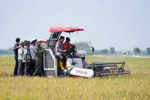 Antisipasi Dampak El Nino, Pemkab Indramayu Dorong Modernisasi Pertanian Guna Amankan Produksi Padi