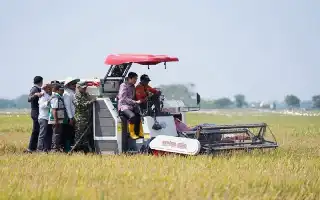 Antisipasi Dampak El Nino, Pemkab Indramayu Dorong Modernisasi Pertanian Guna Amankan Produksi Padi