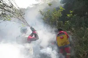 Ancaman Kabut Asap Karhutla Tambora, Dokter Ingatkan Dampak Fatal Polusi PM2.5 pada Kesehatan Anak