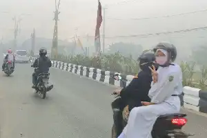 Antisipasi Dampak Buruk Asap Karhutla, Simak Panduan Hidup Sehat dari Pakar Paru