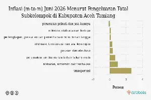 Inflasi Sektor Rekreasi dan Budaya di Aceh Tamiang Melambat pada Juni 2026