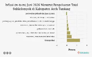 Inflasi Sektor Rekreasi dan Budaya di Aceh Tamiang Melambat pada Juni 2026