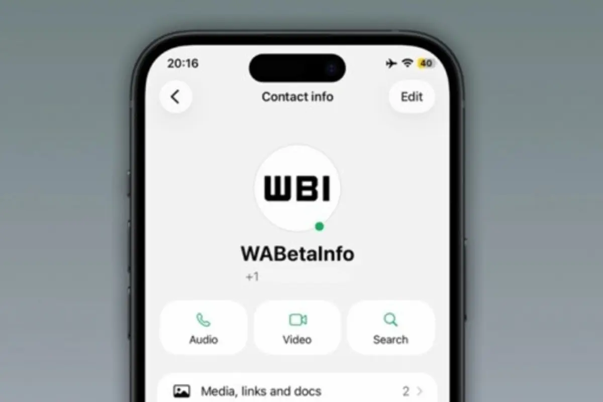 WhatsApp Uji Coba Fitur Indikator 'Titik Hijau' untuk Pantau Status Online di iOS