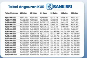 Dukungan Pembiayaan UMKM: Simak Simulasi Angsuran dan Syarat KUR BRI Rp100 Juta