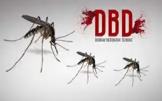 Kasus DBD di Pekanbaru Sentuh Angka 534 Kasus, Satu Orang Dilaporkan Meninggal Dunia