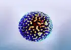 UGM Ingatkan Bahaya Hepatitis: 9,2 Juta Warga Indonesia Diperkirakan Terinfeksi Tanpa Gejala