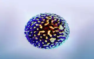 UGM Ingatkan Bahaya Hepatitis: 9,2 Juta Warga Indonesia Diperkirakan Terinfeksi Tanpa Gejala