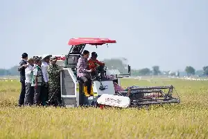 Akselerasi Pertanian Modern di Indramayu, Produktivitas Padi Tembus 10,45 Ton per Hektare