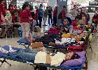 Peringati HUT RI ke-81, Aksi Sosial Donor Darah CSC Sukses Jaring Antusiasme Warga Cilegon
