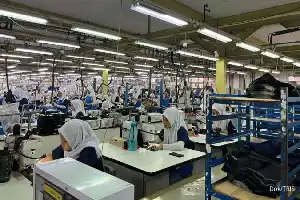 Perkuat Struktur Bisnis, Trisula International Alokasikan Rp 35 Miliar untuk Aksi Buyback dan Akuisisi