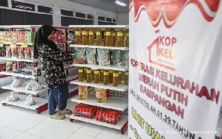 Cegah Tumpang Tindih, Program Koperasi Merah Putih Didorong Rangkul Ekosistem Ekonomi Desa