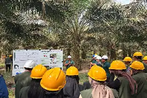 Komitmen Keberlanjutan, Astra Agro Integrasikan Teknologi Modern dan Konservasi di Perkebunan Kalimantan Tengah