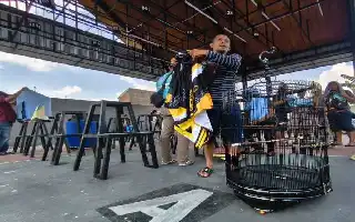 Sport Tourism Jadi Motor Utama, Event Olahraga Dominasi Kalender Wisata Kota Malang 2026
