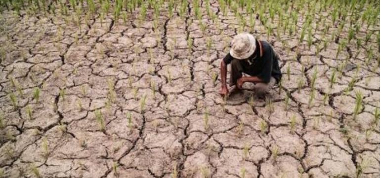 Optimalisasi Teknologi Modifikasi Cuaca sebagai Pilar Strategis Ketahanan Pangan Nasional