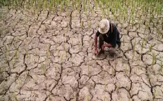 Optimalisasi Teknologi Modifikasi Cuaca sebagai Pilar Strategis Ketahanan Pangan Nasional