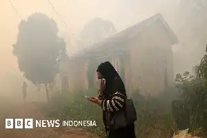 Usut Tuntas Karhutla Kalimantan, Pemerintah Didesak Tindak Korporasi Tanpa Tebang Pilih