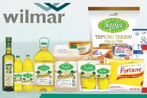 Jejak Raksasa Agribisnis: Menelisik Model Bisnis Terintegrasi Wilmar Group