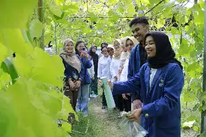 Inovasi Mahasiswa ITS: Ciptakan Pestisida Nano yang Tangguh Hadapi Cuaca Ekstrem