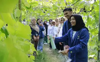 Inovasi Mahasiswa ITS: Ciptakan Pestisida Nano yang Tangguh Hadapi Cuaca Ekstrem