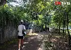 Tren Slow Jogging: Pakar UGM Beberkan Manfaat Kesehatan dan Panduan Aman Lari Santai